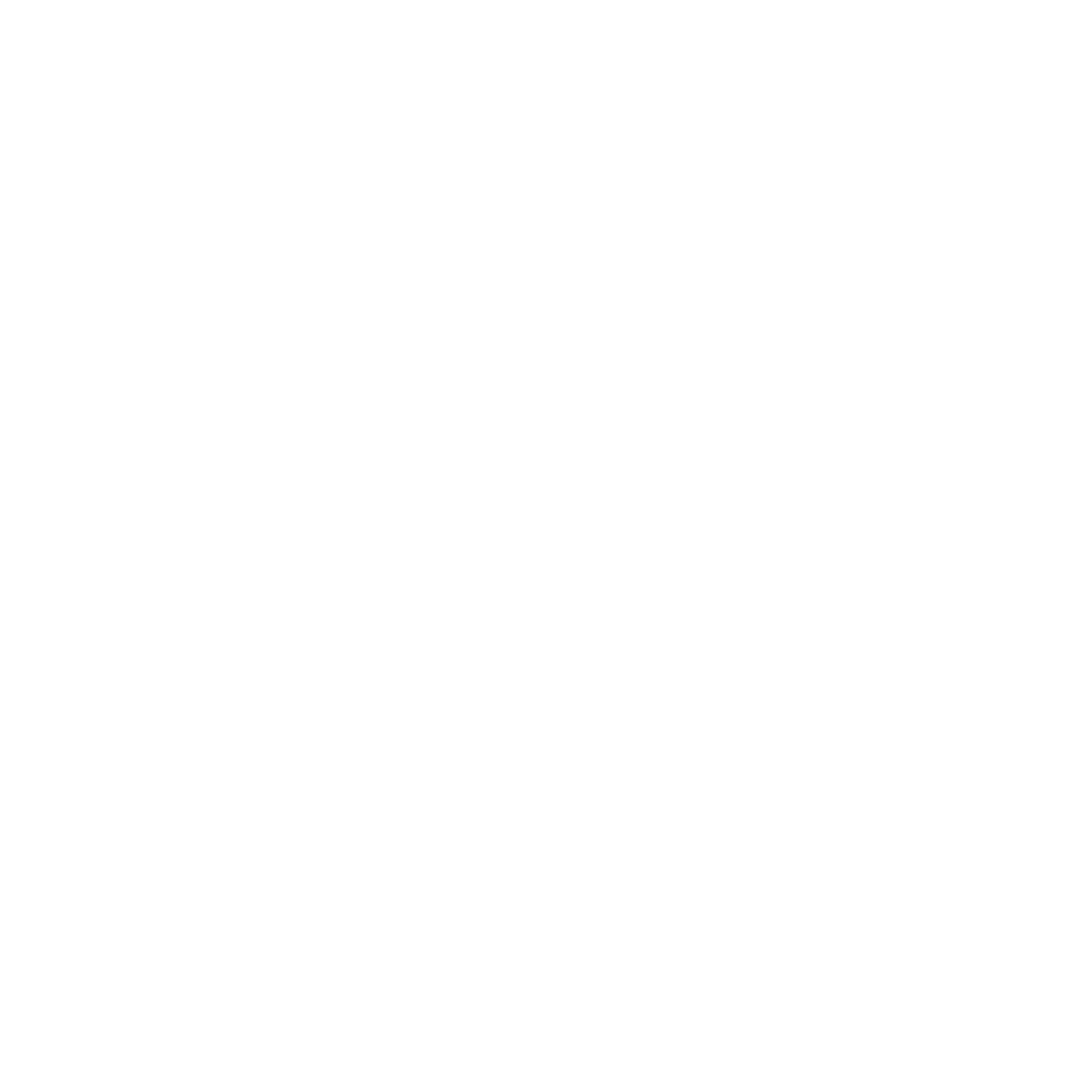 QCN Qcoon Logo PARTNER compact 1c white RGB